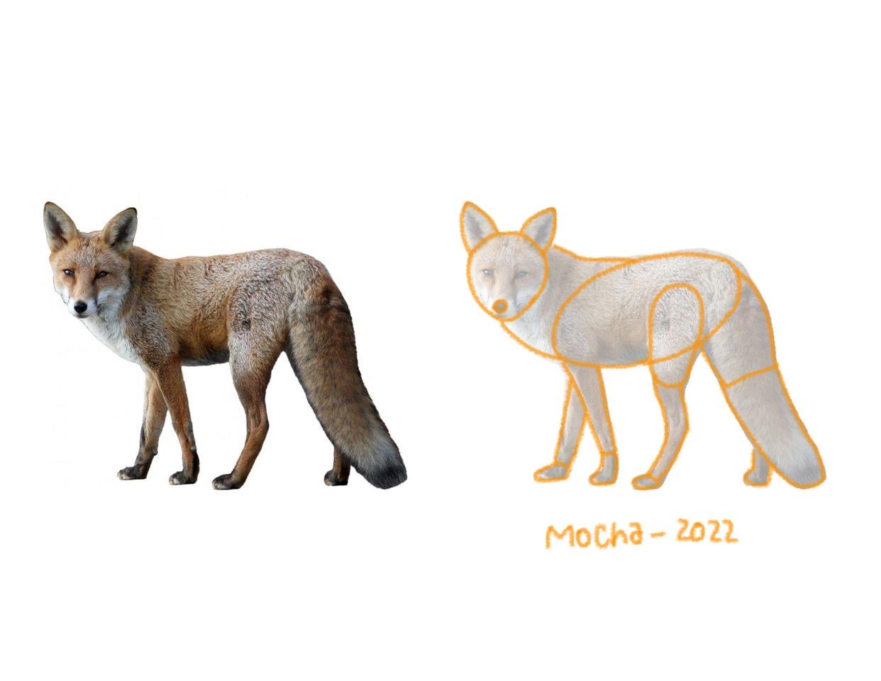 Breaking Down into simple shapes - image 2 - student project