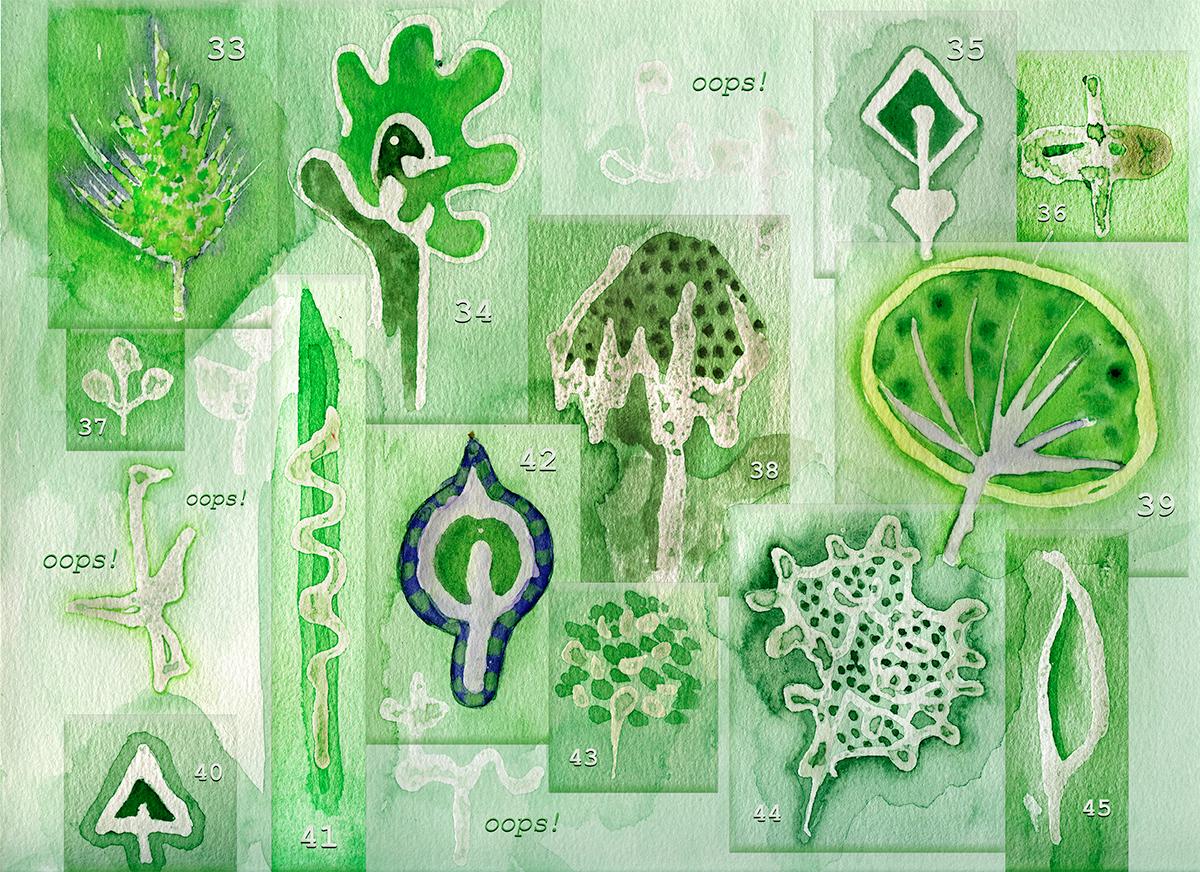 L E A F x 1 0 1 = GROWTH - image 8 - student project