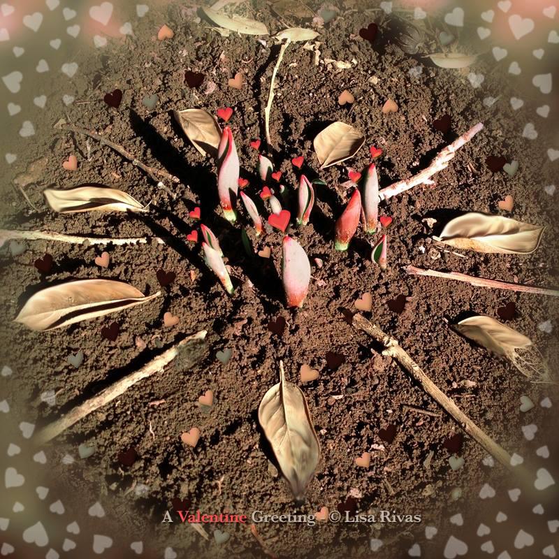 L E A F x 1 0 1 = GROWTH - image 18 - student project