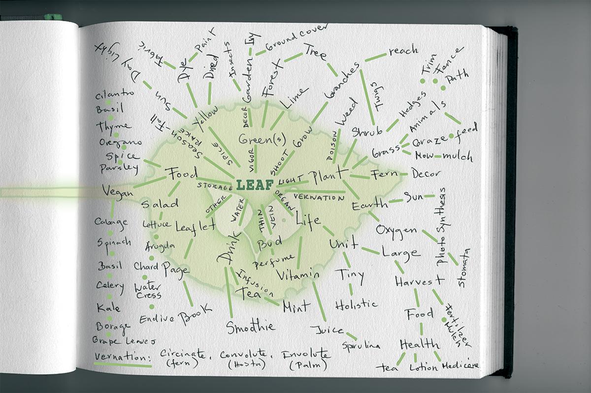 L E A F x 1 0 1 = GROWTH - image 3 - student project