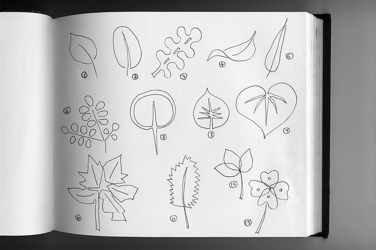 L E A F x 1 0 1 = GROWTH - image 2 - student project