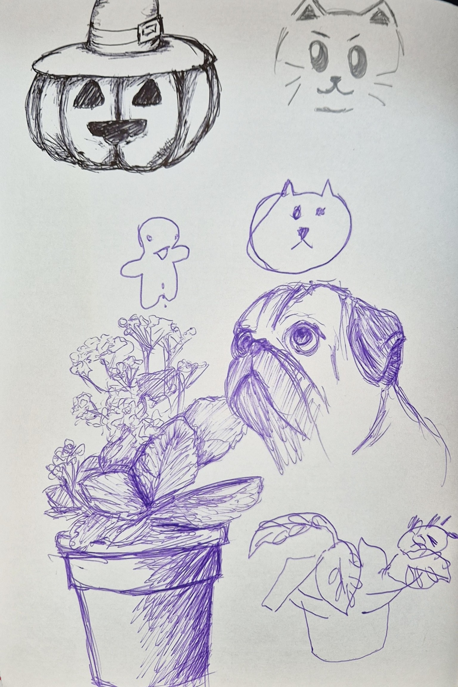 training sketches - image 1 - student project