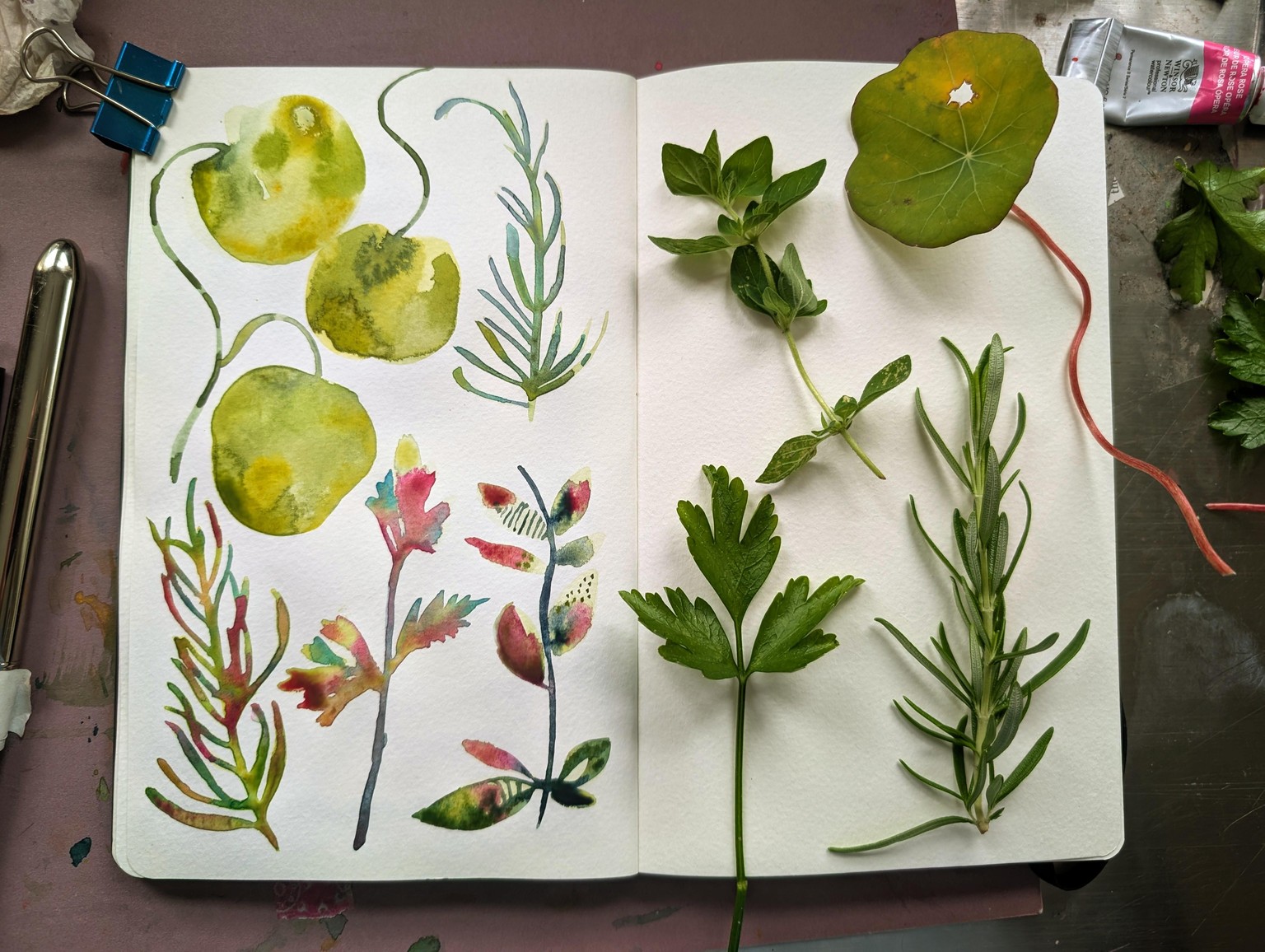 Pages of My Stylized Botanicals - image 3 - student project