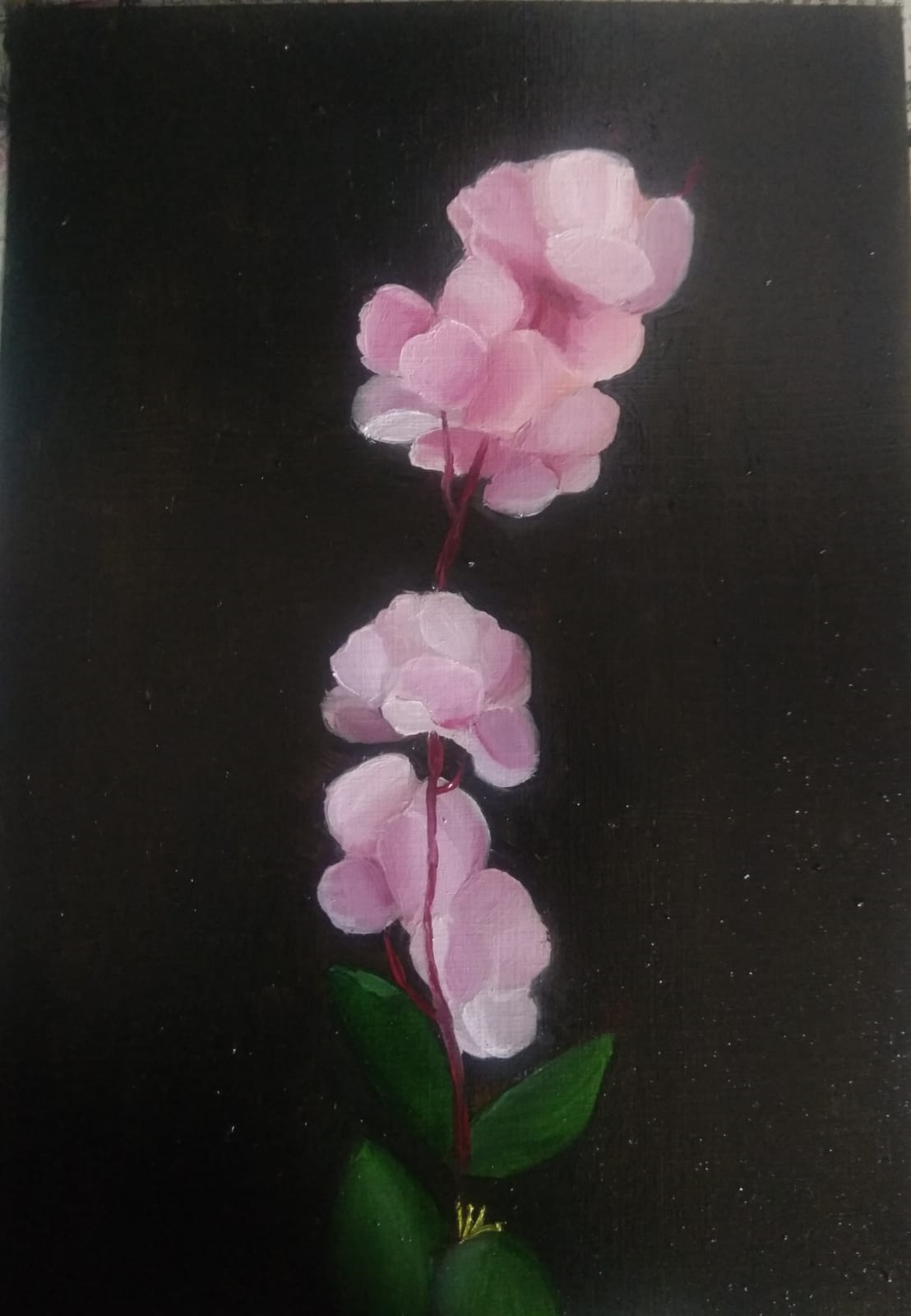 Flowers - image 1 - student project