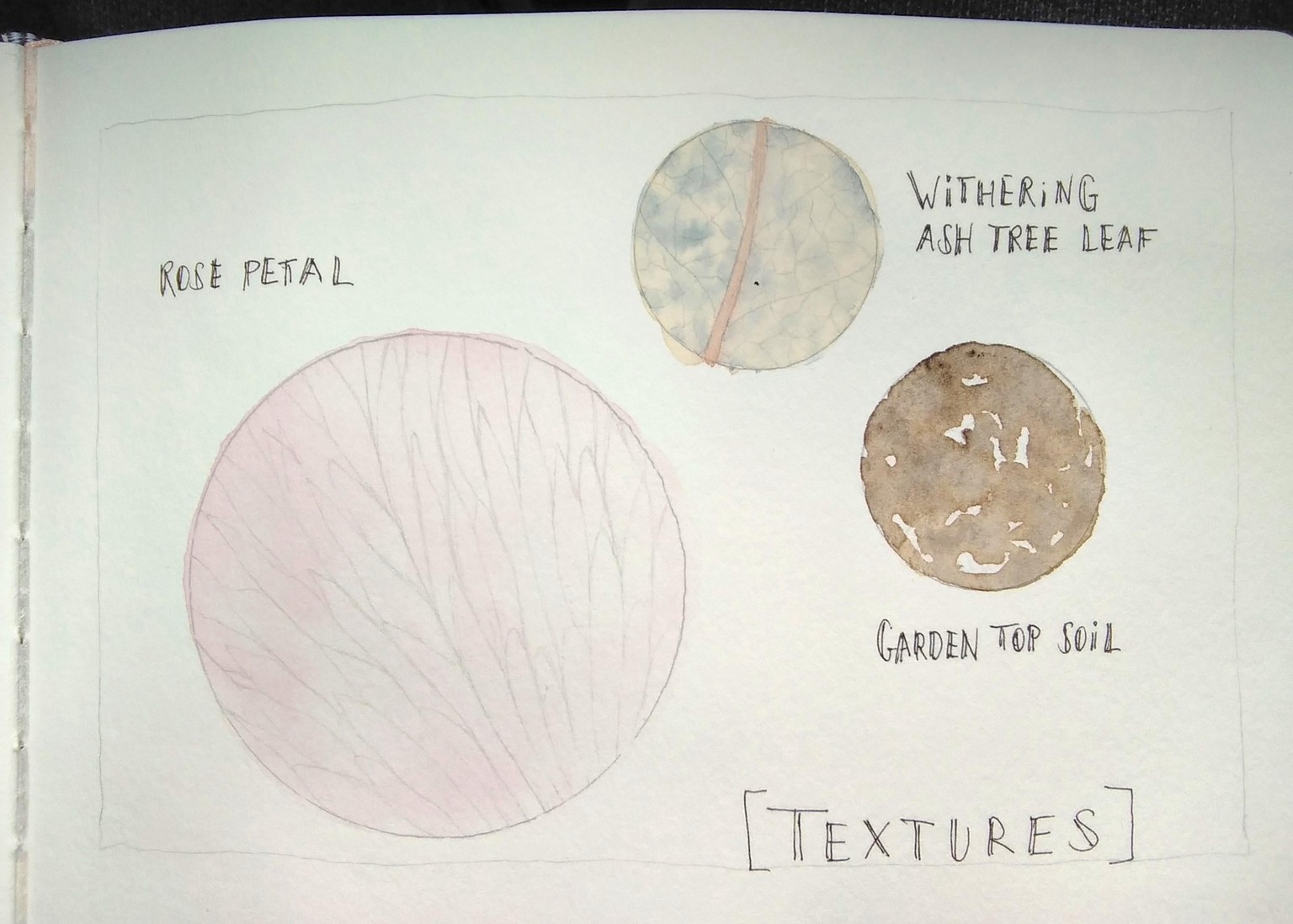 Garden and Forest Nature Journaling - image 3 - student project