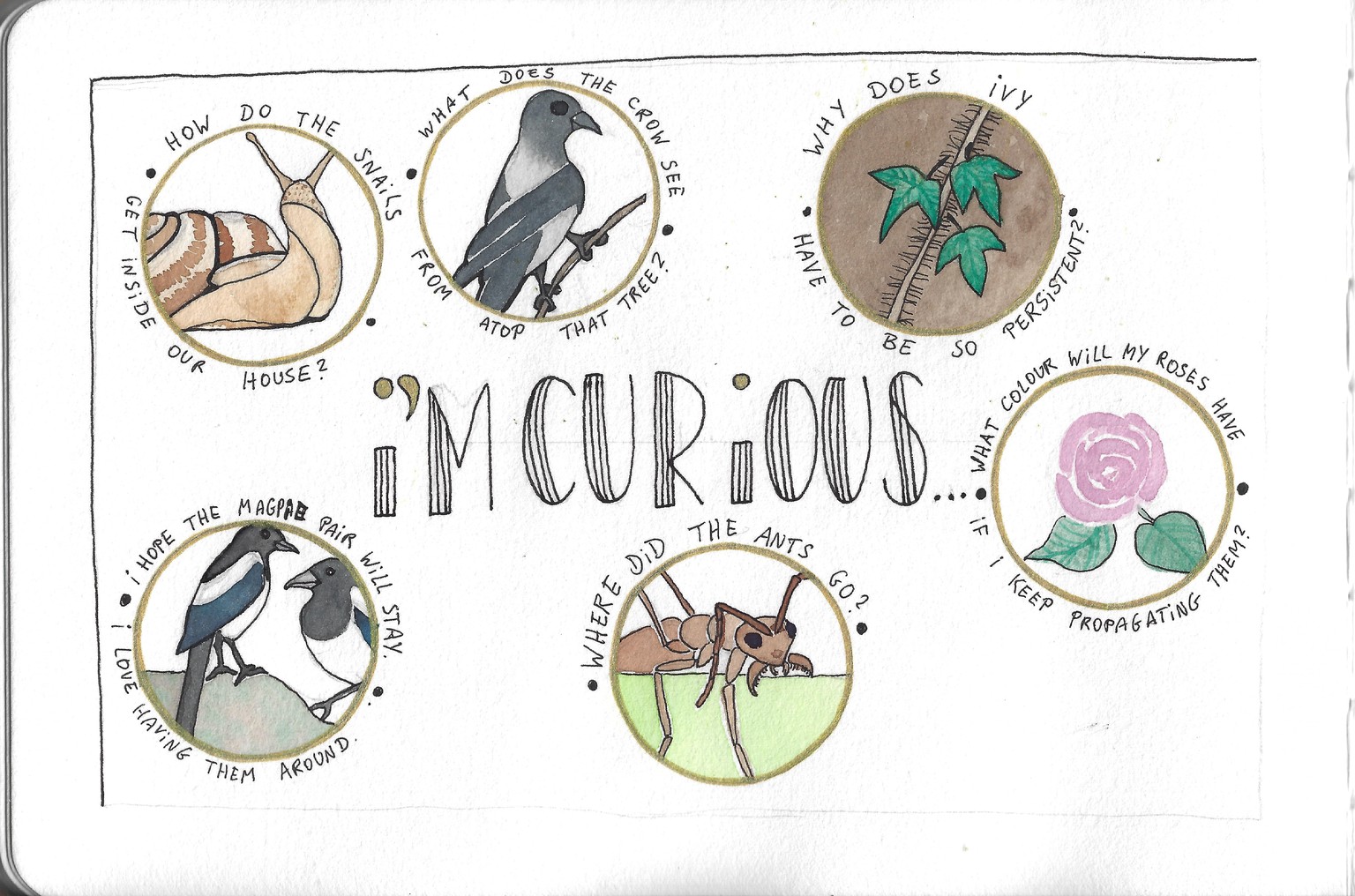 Garden and Forest Nature Journaling - image 7 - student project
