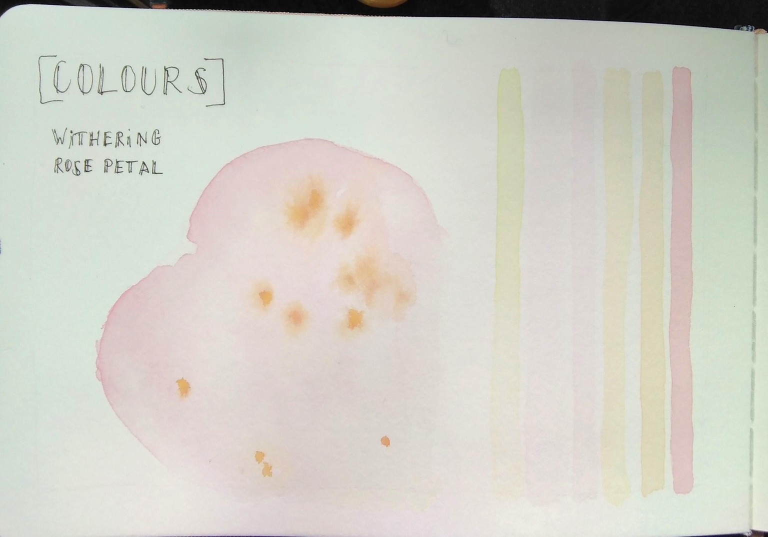 Garden and Forest Nature Journaling - image 1 - student project