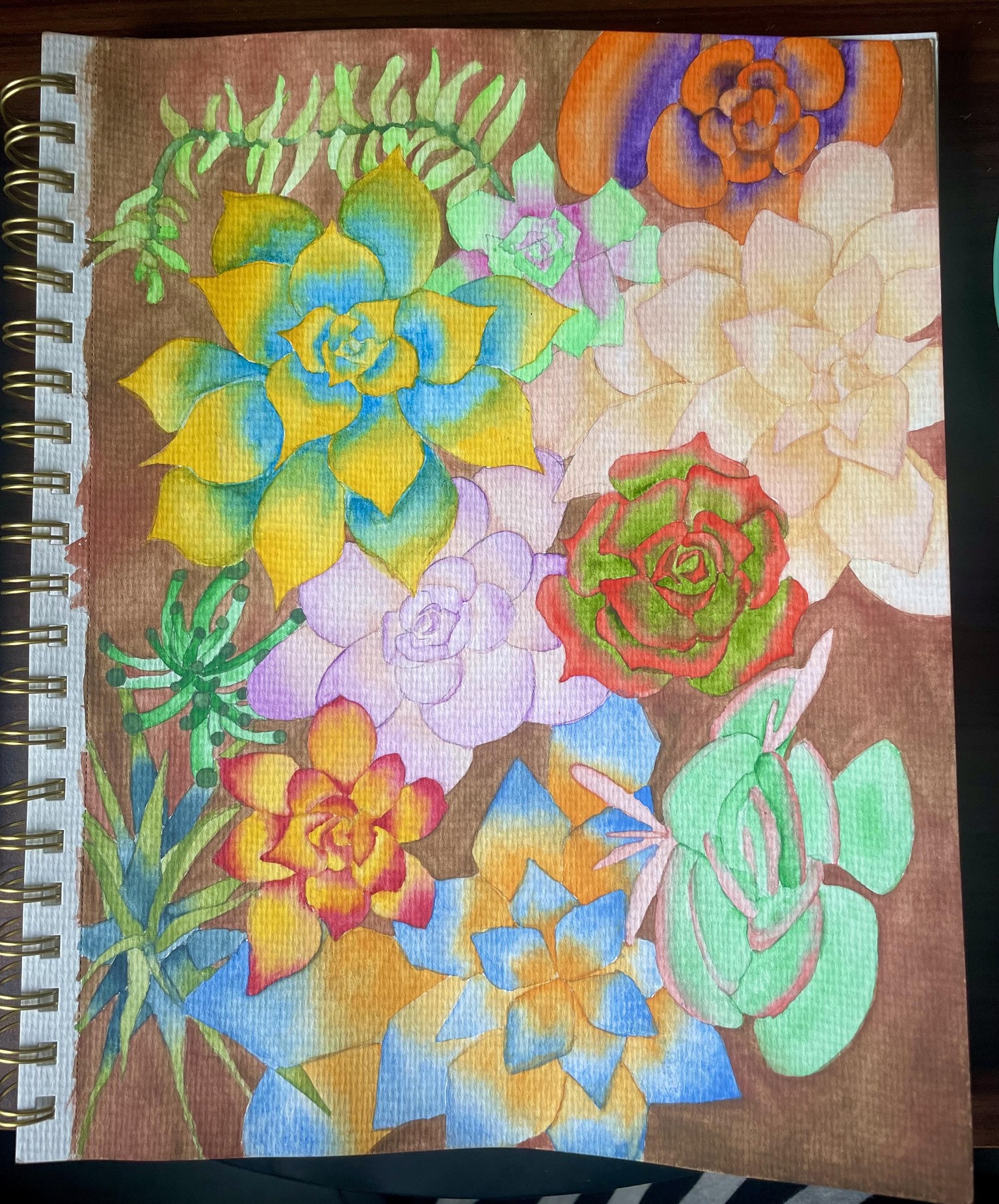 Watercolor succulents - image 1 - student project