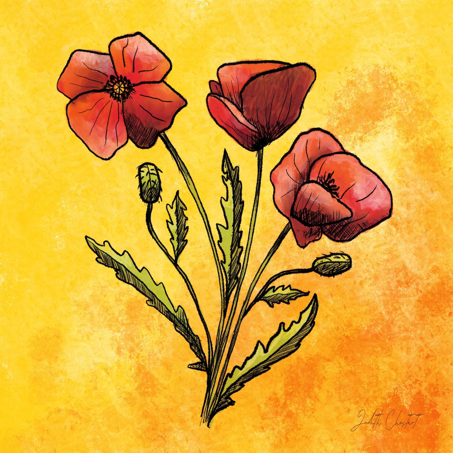 Poppies - image 1 - student project