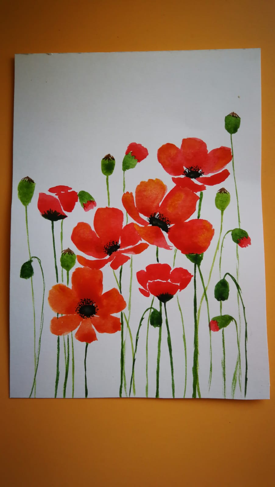 Poppies and Anemones - image 2 - student project