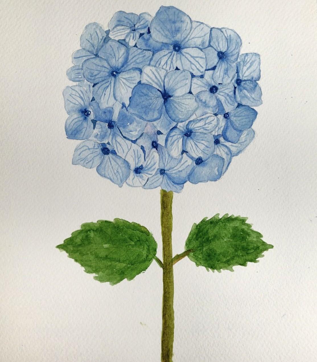 Hydrangea FLower - image 1 - student project
