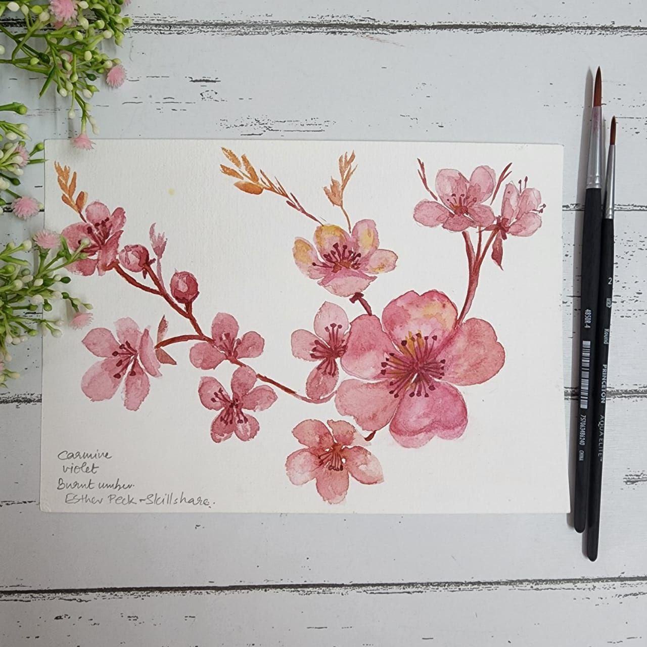 Cherry Blossom - image 1 - student project