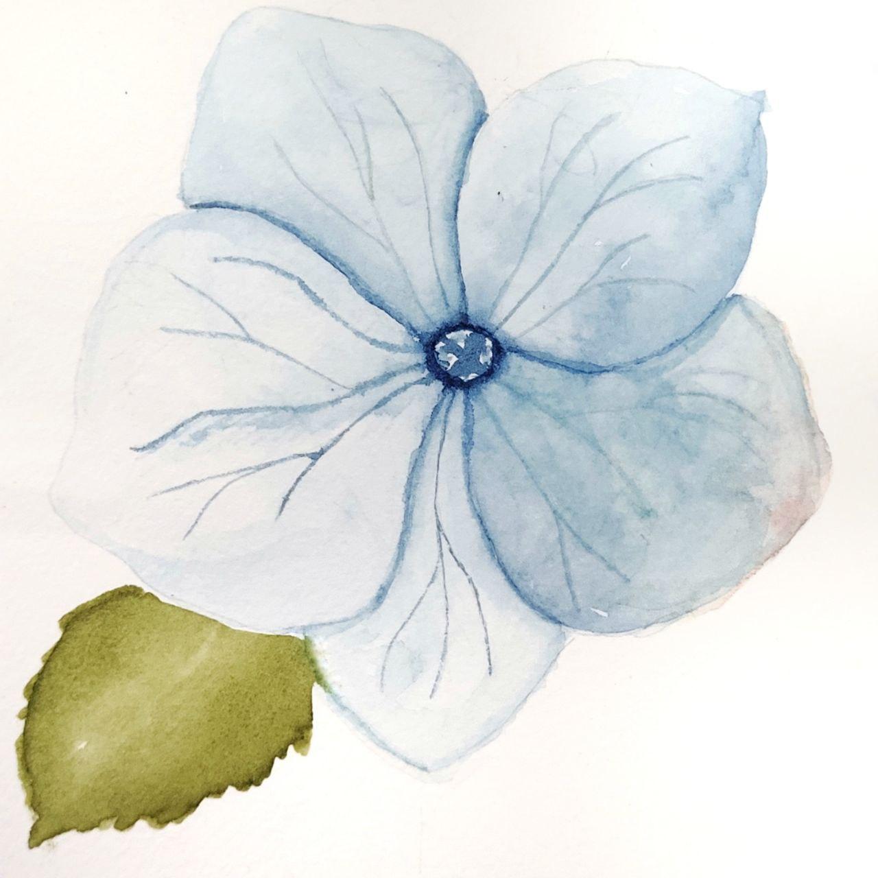 Hydrangea FLower - image 2 - student project