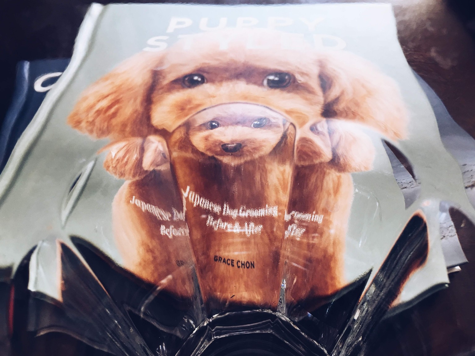 Puppy Styled shot through a drinking glass! - image 2 - student project