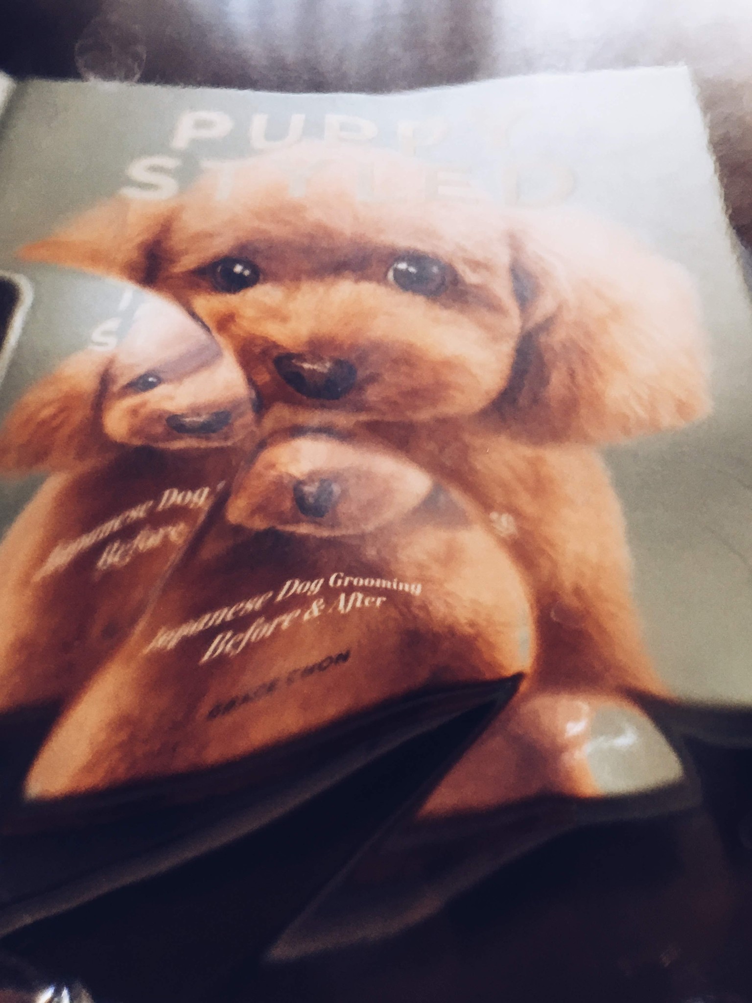 Puppy Styled shot through a drinking glass! - image 3 - student project
