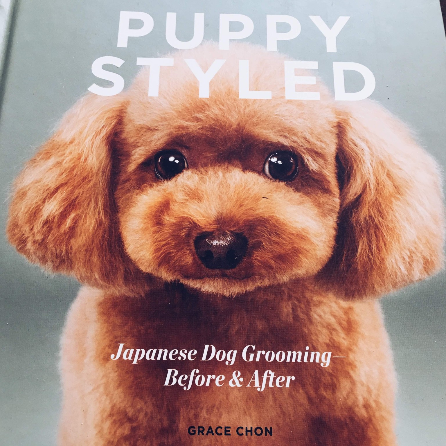 Puppy Styled shot through a drinking glass! - image 1 - student project