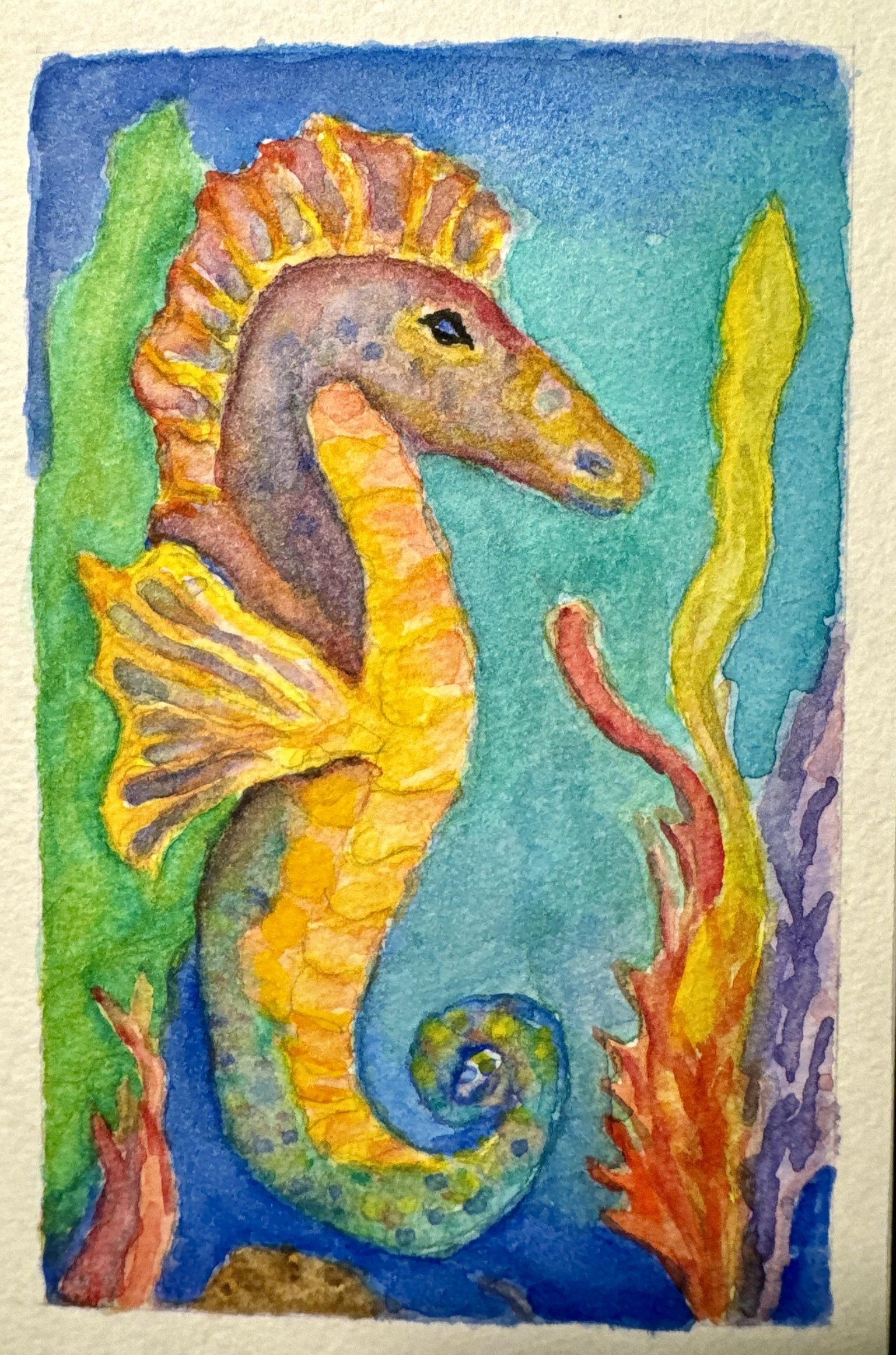 Seahorse - image 1 - student project