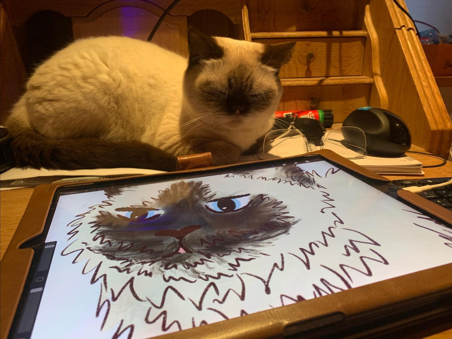 My cat drawing - image 1 - student project