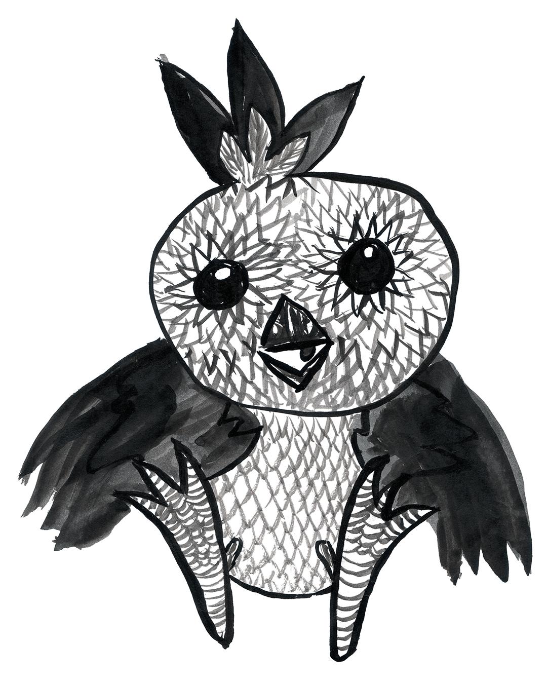 Spring birdy - image 1 - student project