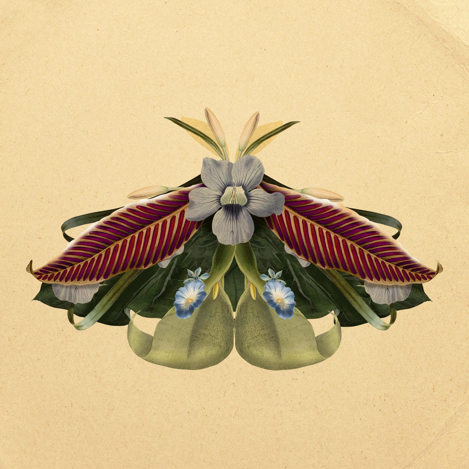 Learn Digital Creatures with Photoshop - image 2 - student project