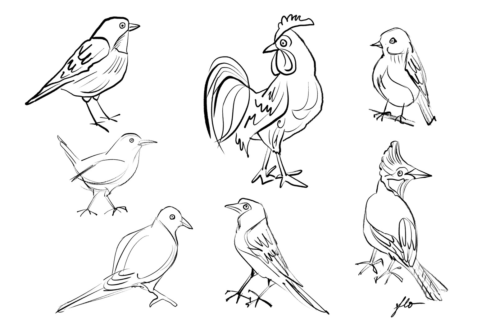 Sketchy Birds - image 1 - student project