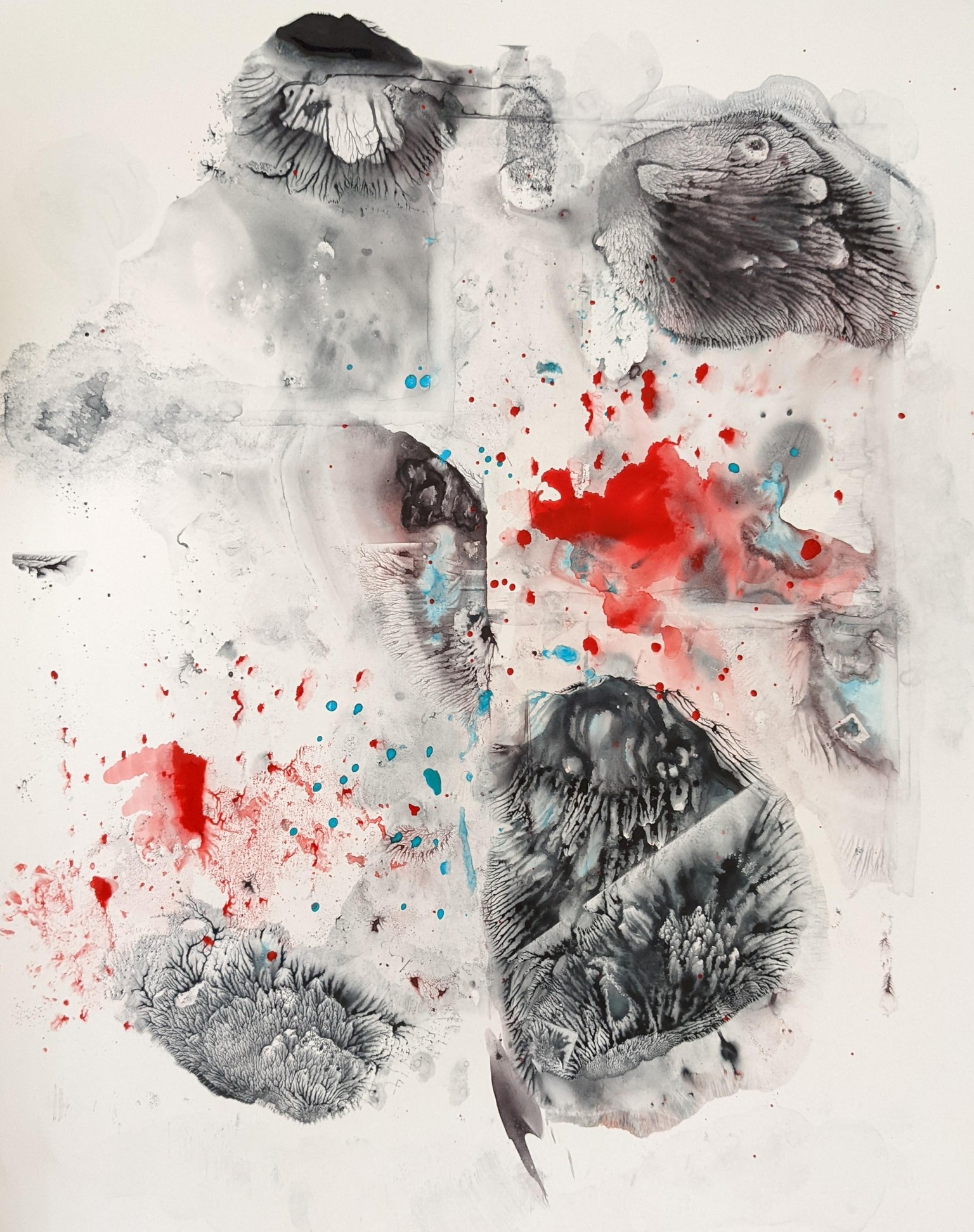 monotype - image 1 - student project