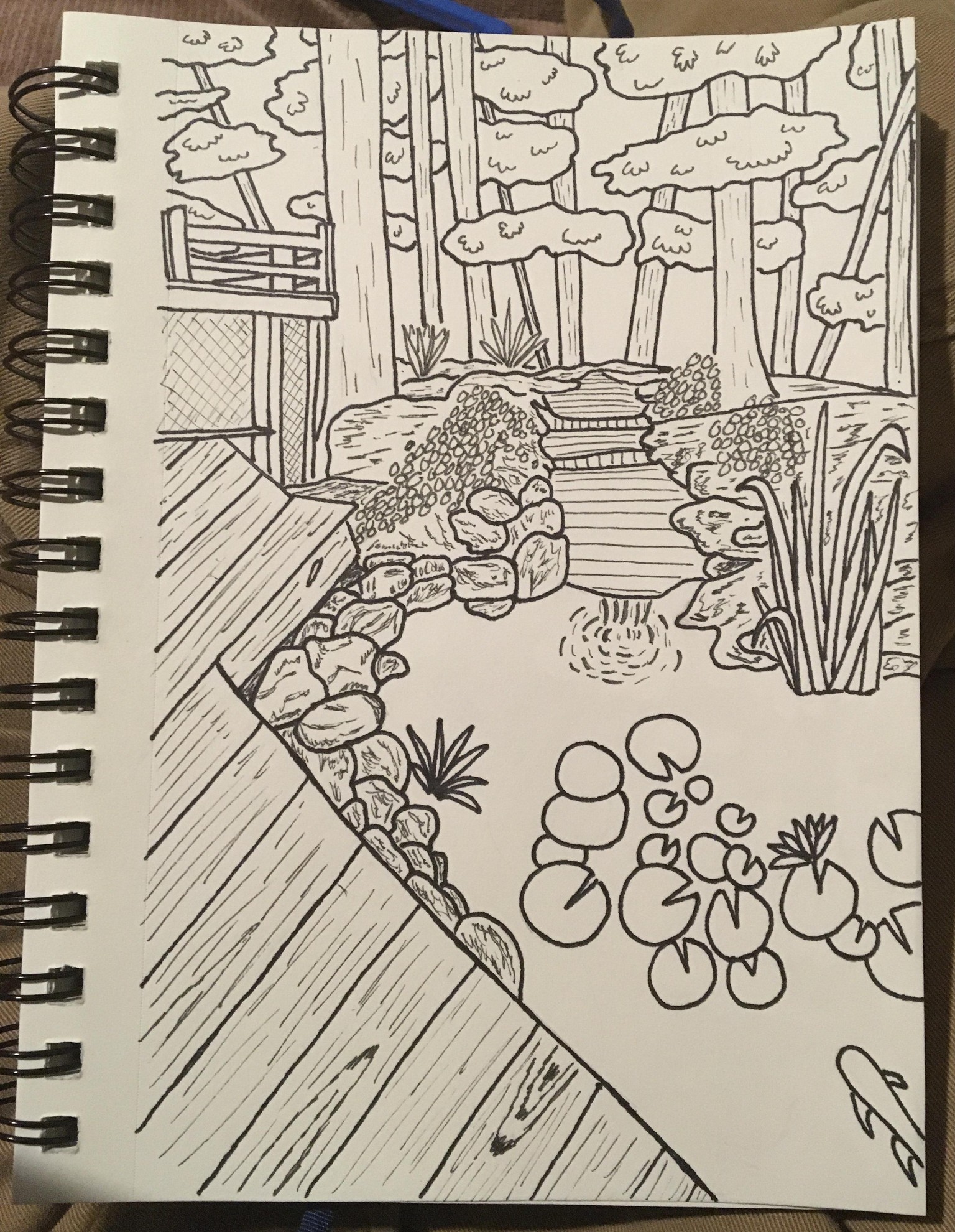 Pond - image 1 - student project
