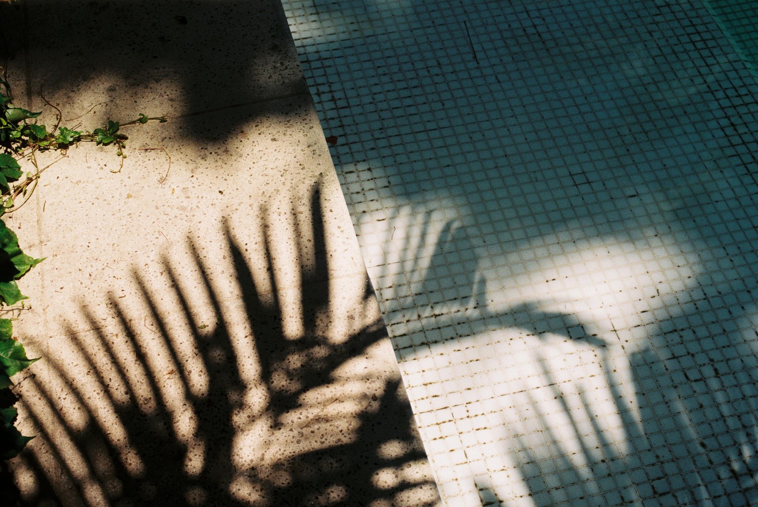 Analog photography - image 1 - student project
