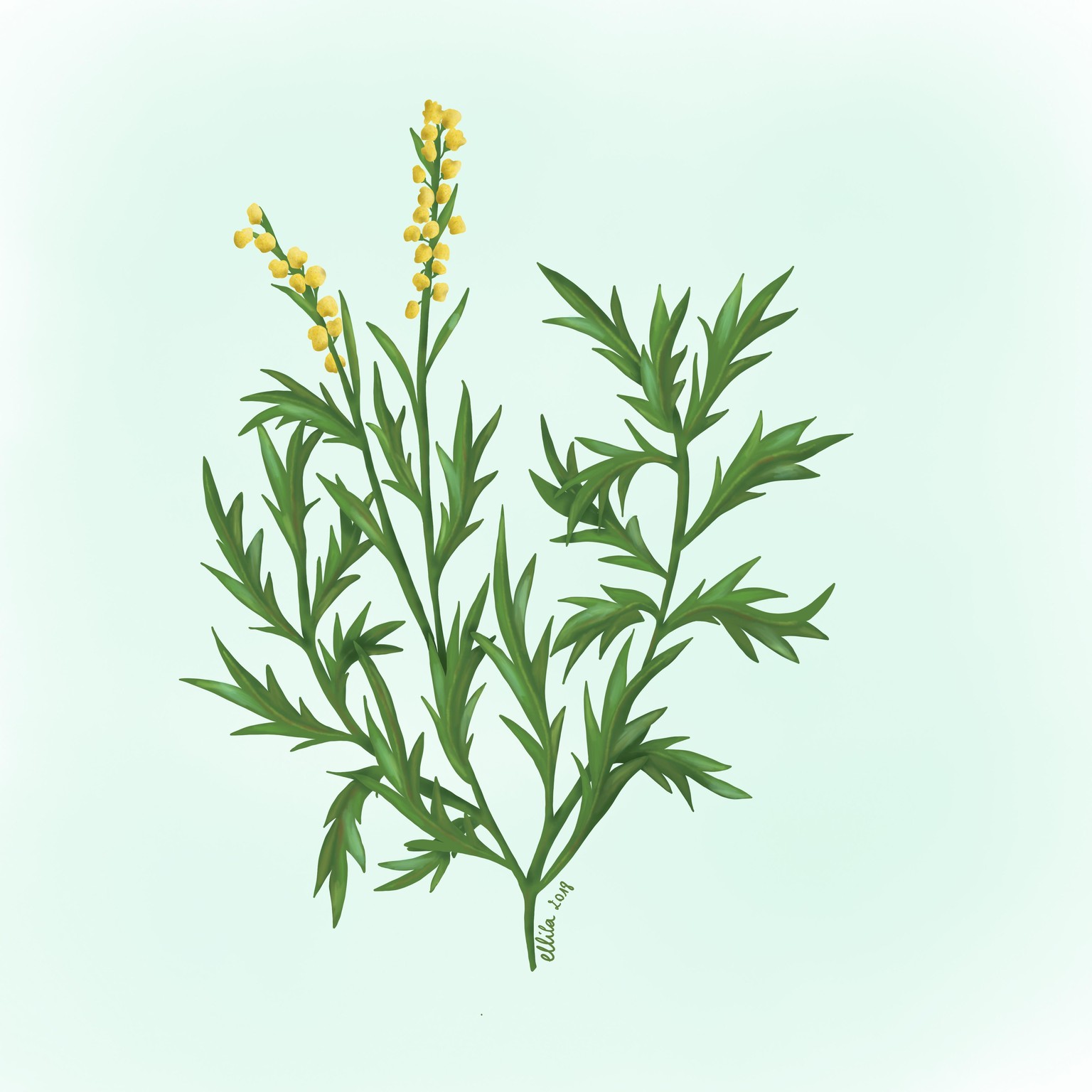 Botanical style - image 1 - student project