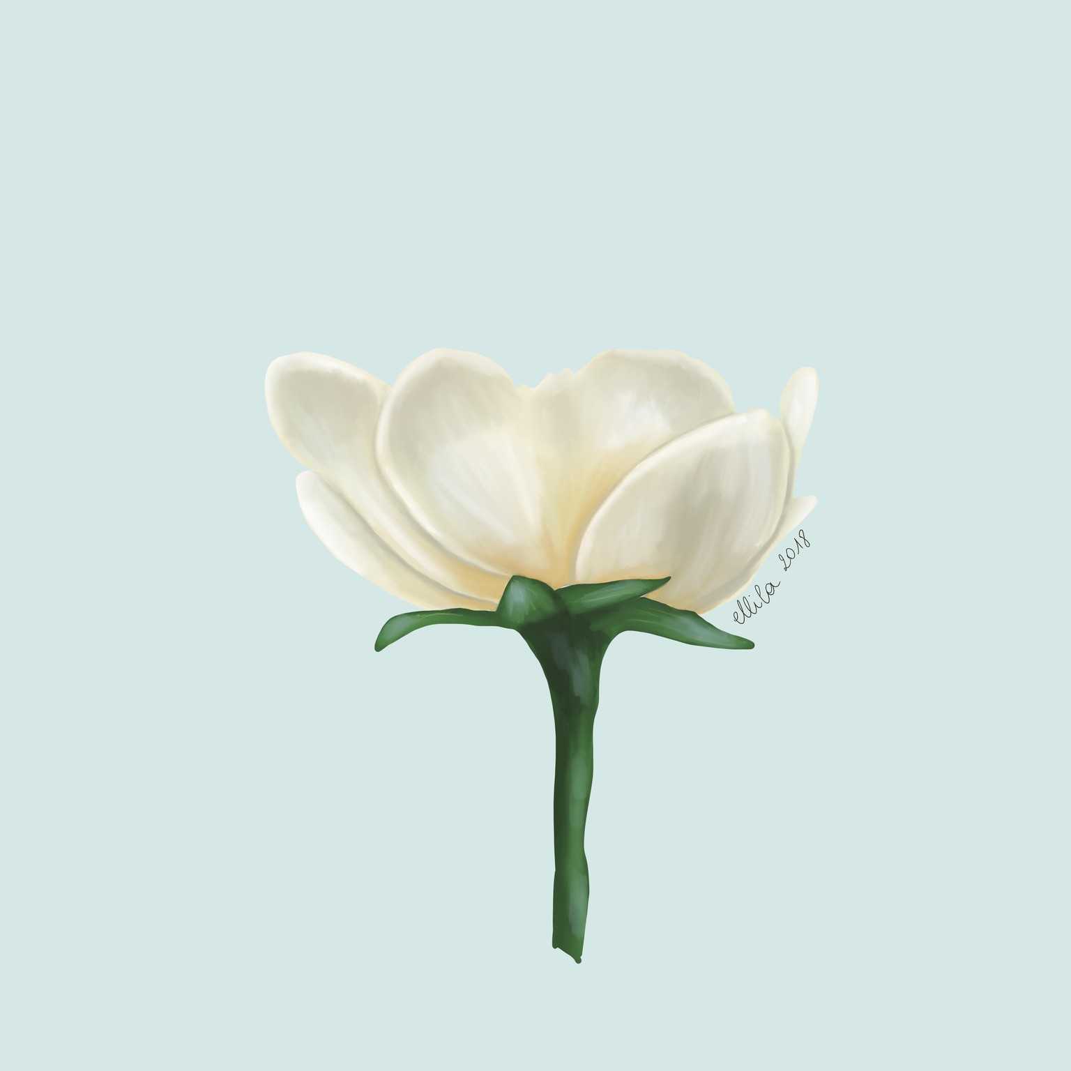 Botanical style - image 2 - student project