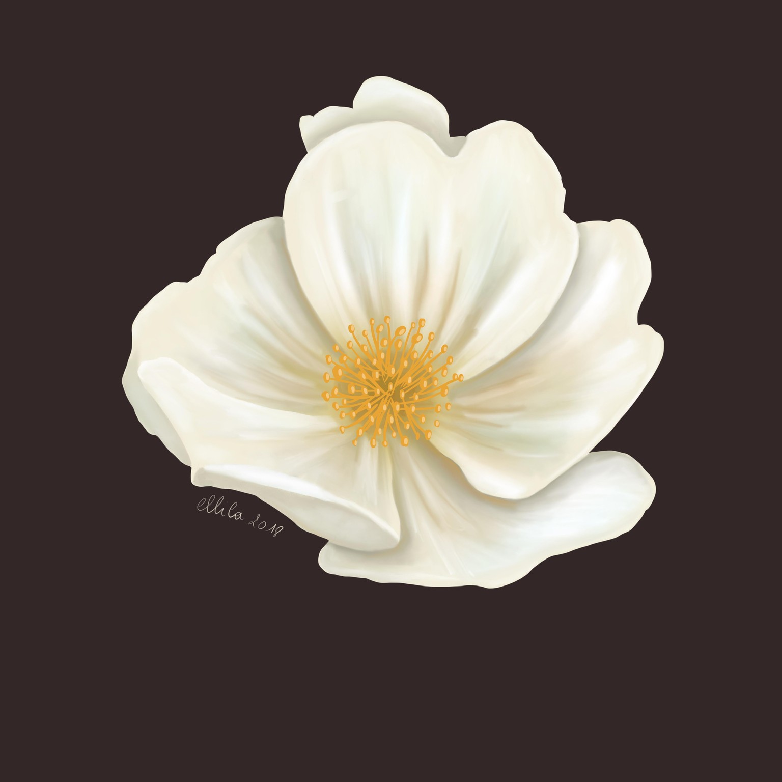 Botanical style - image 3 - student project