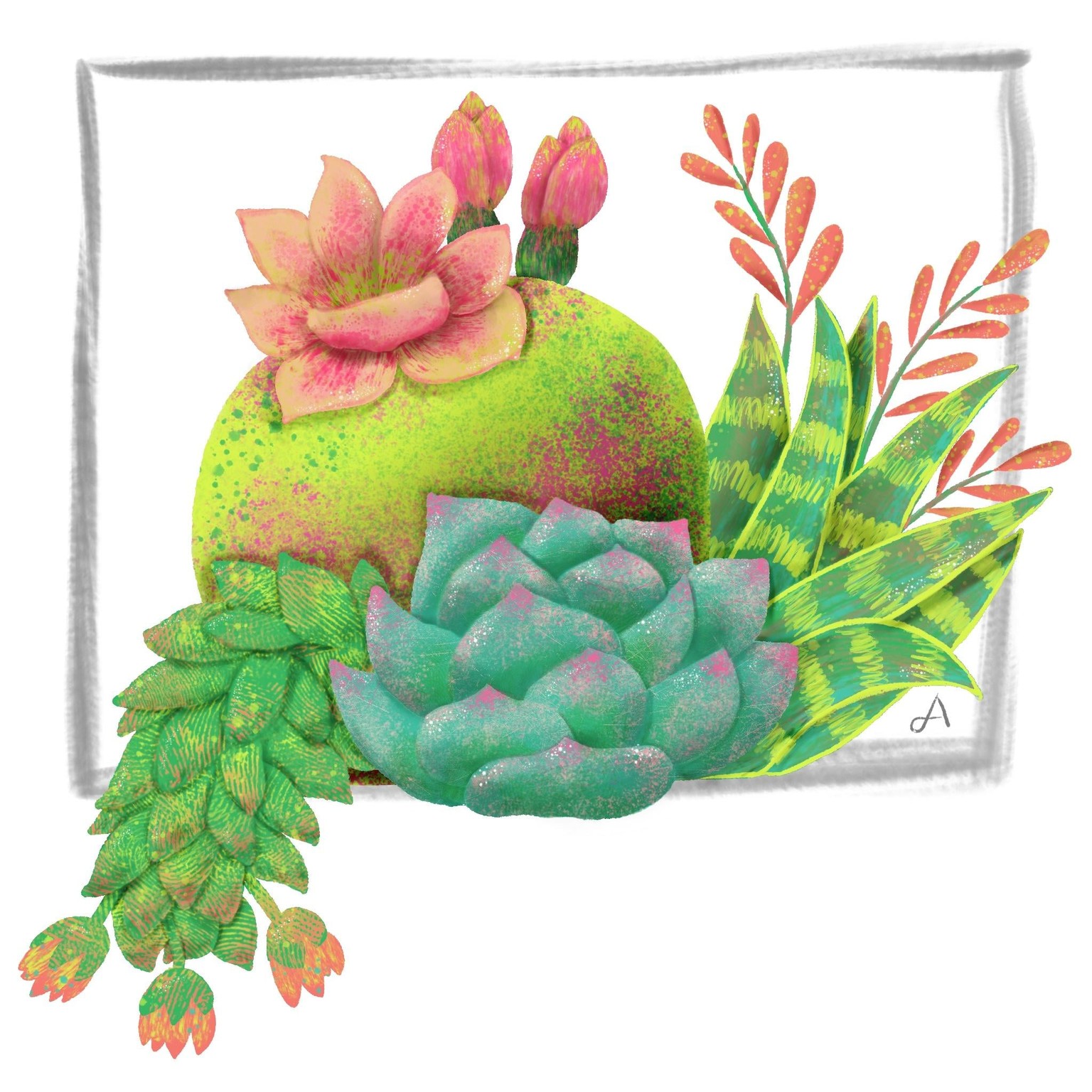 Fun succulents - image 1 - student project