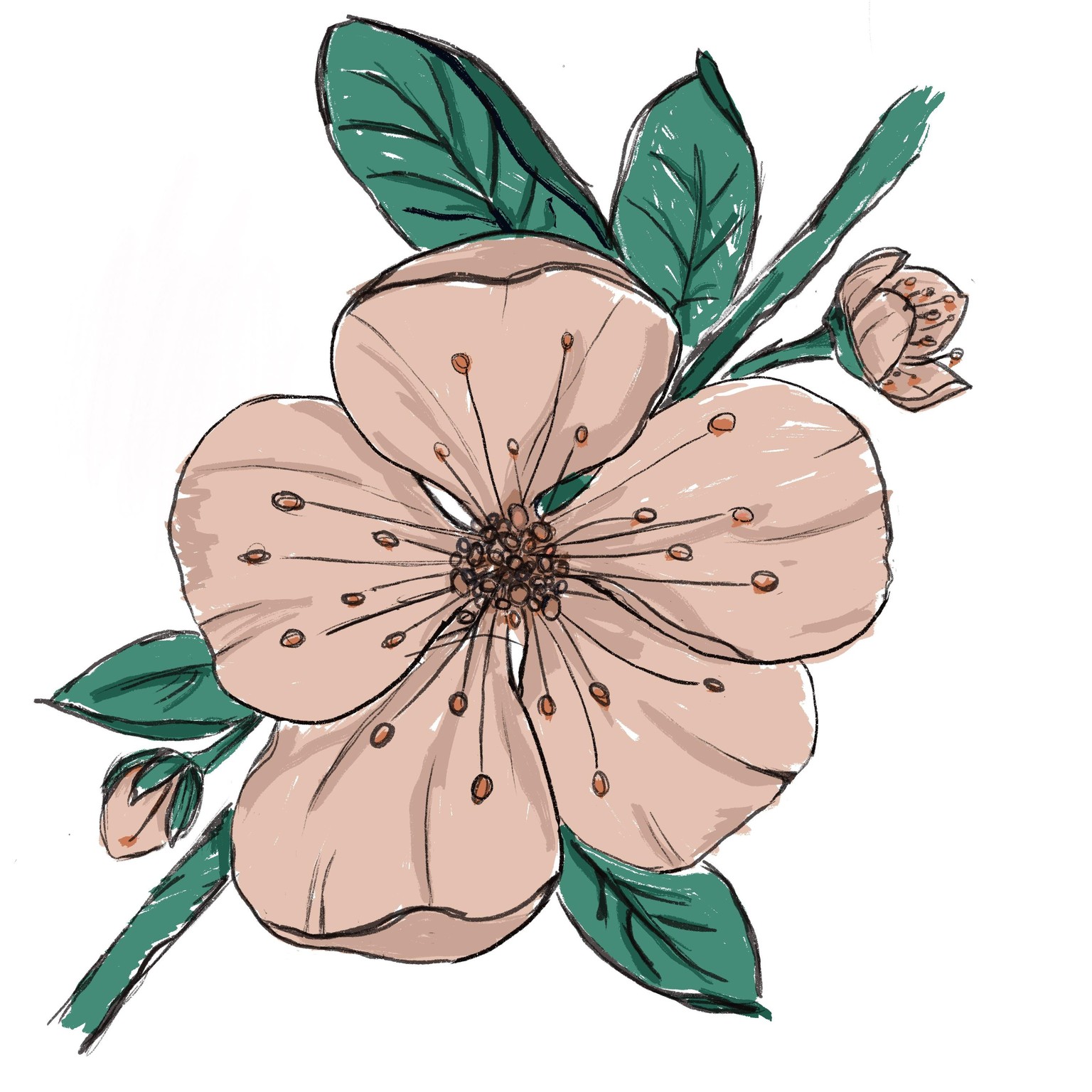 First flower using Procreate - image 1 - student project