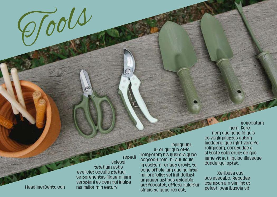 Flip Book Created in InDesign - image 3 - student project