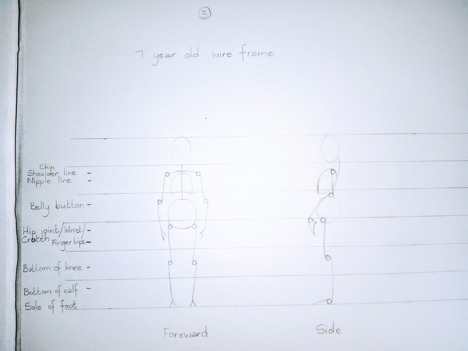 Draw a Circus of Line & Gesture - Design a Picture Book Character from Start to - image 3 - student project