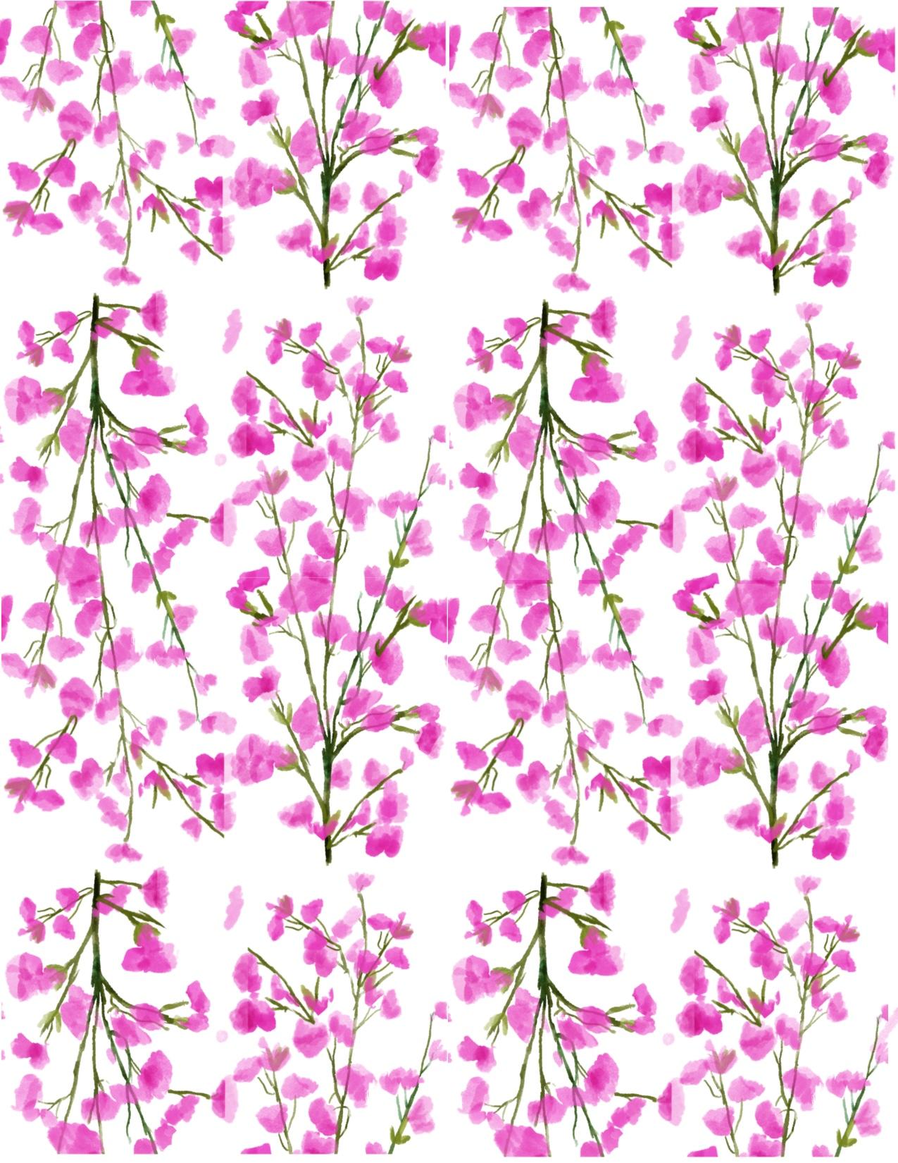 Cherry blossoms - image 1 - student project