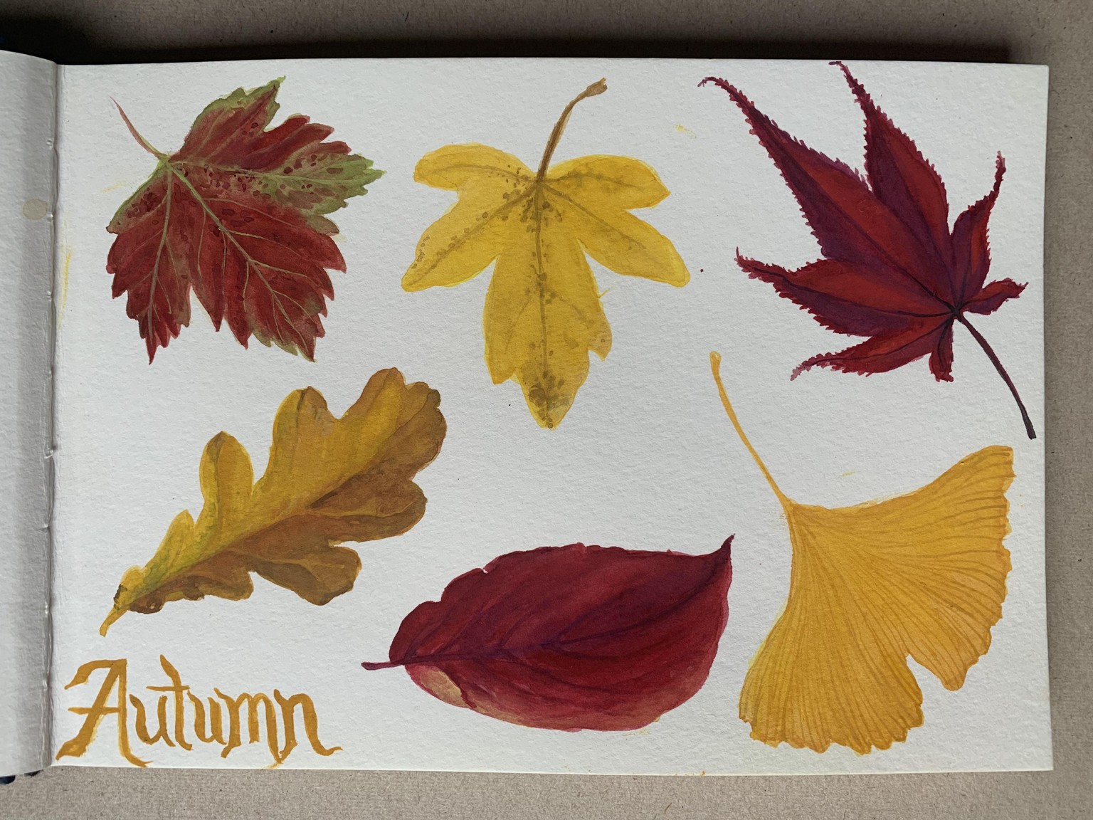 Celebrating Autumn in gouache - image 2 - student project