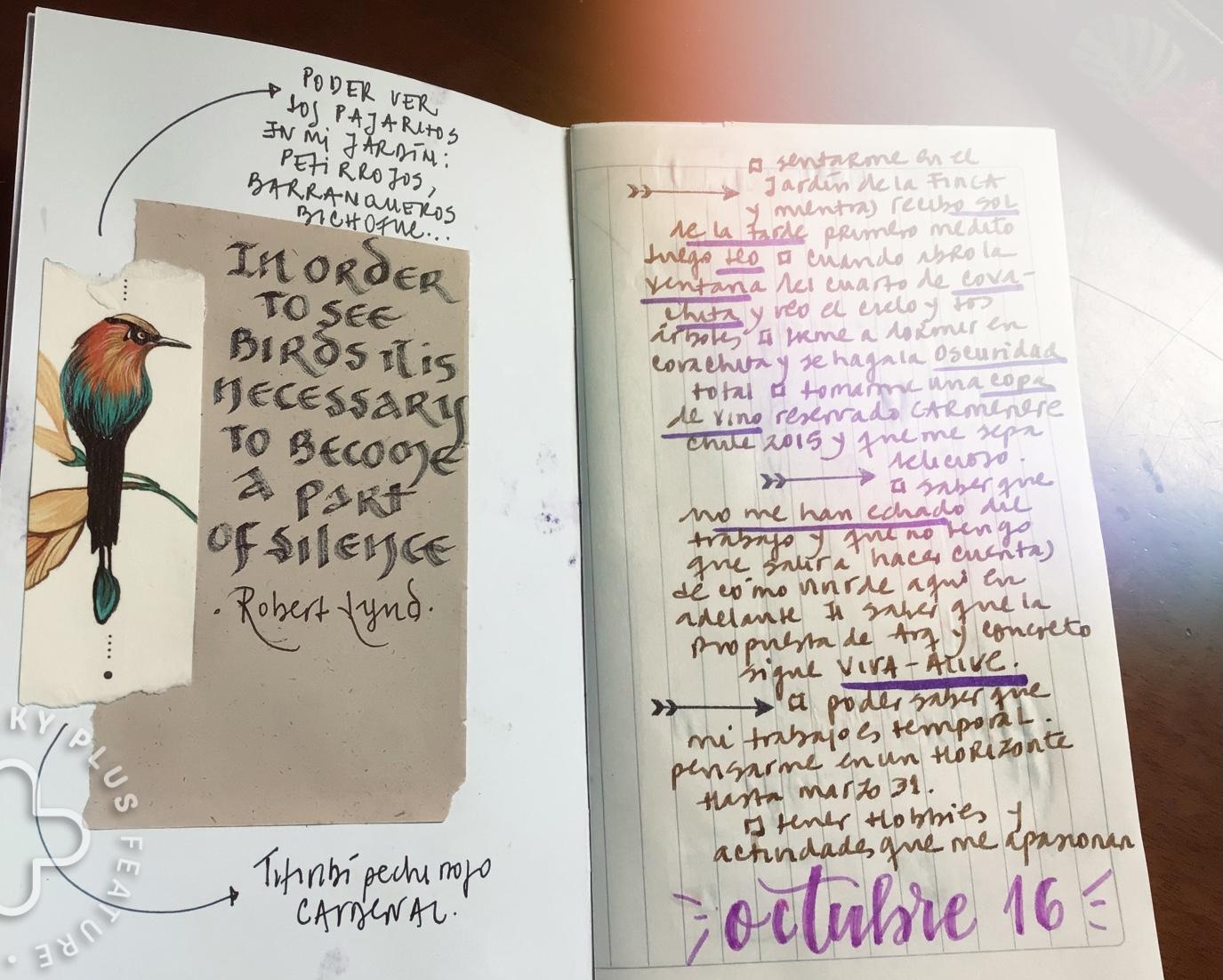 Gratitude journal - image 1 - student project