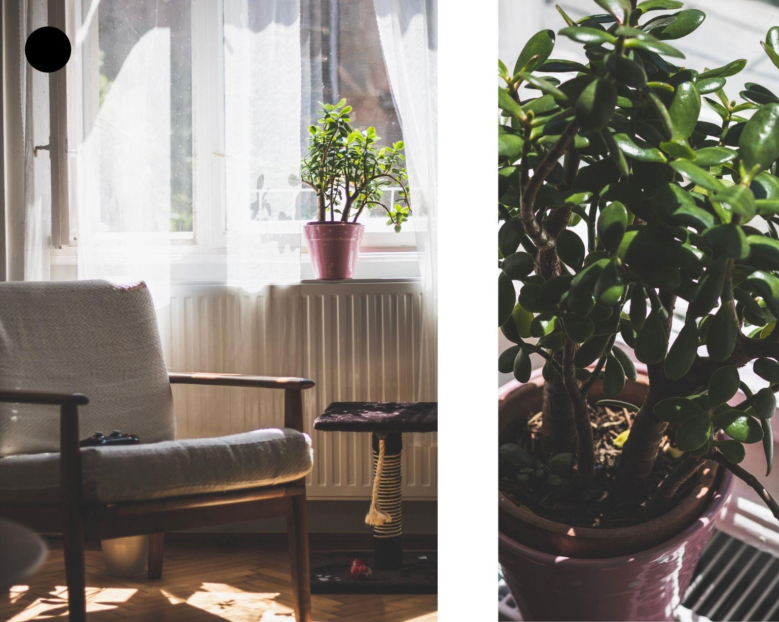 LIVINGroom. - image 3 - student project