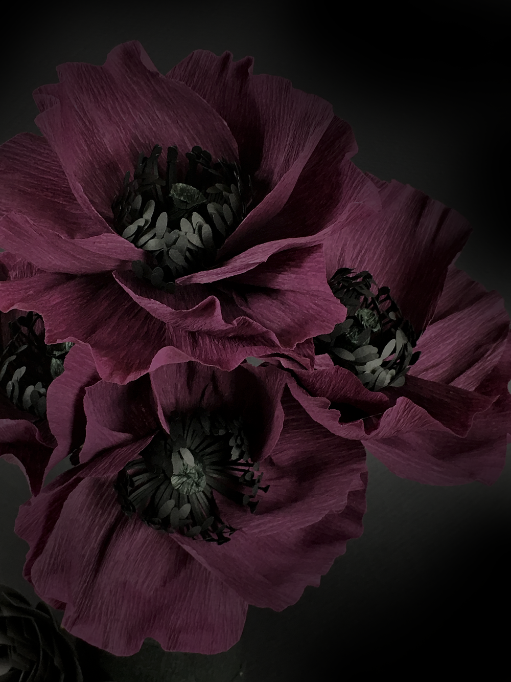 My Crepe Paper & Tissue Paper Poppies - image 1 - student project