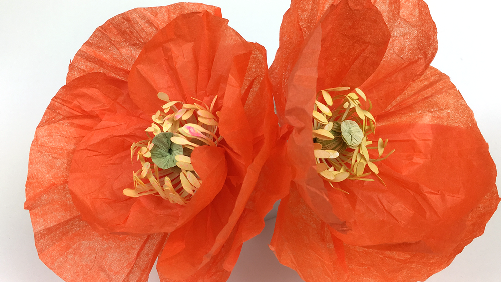 My Crepe Paper & Tissue Paper Poppies - image 2 - student project