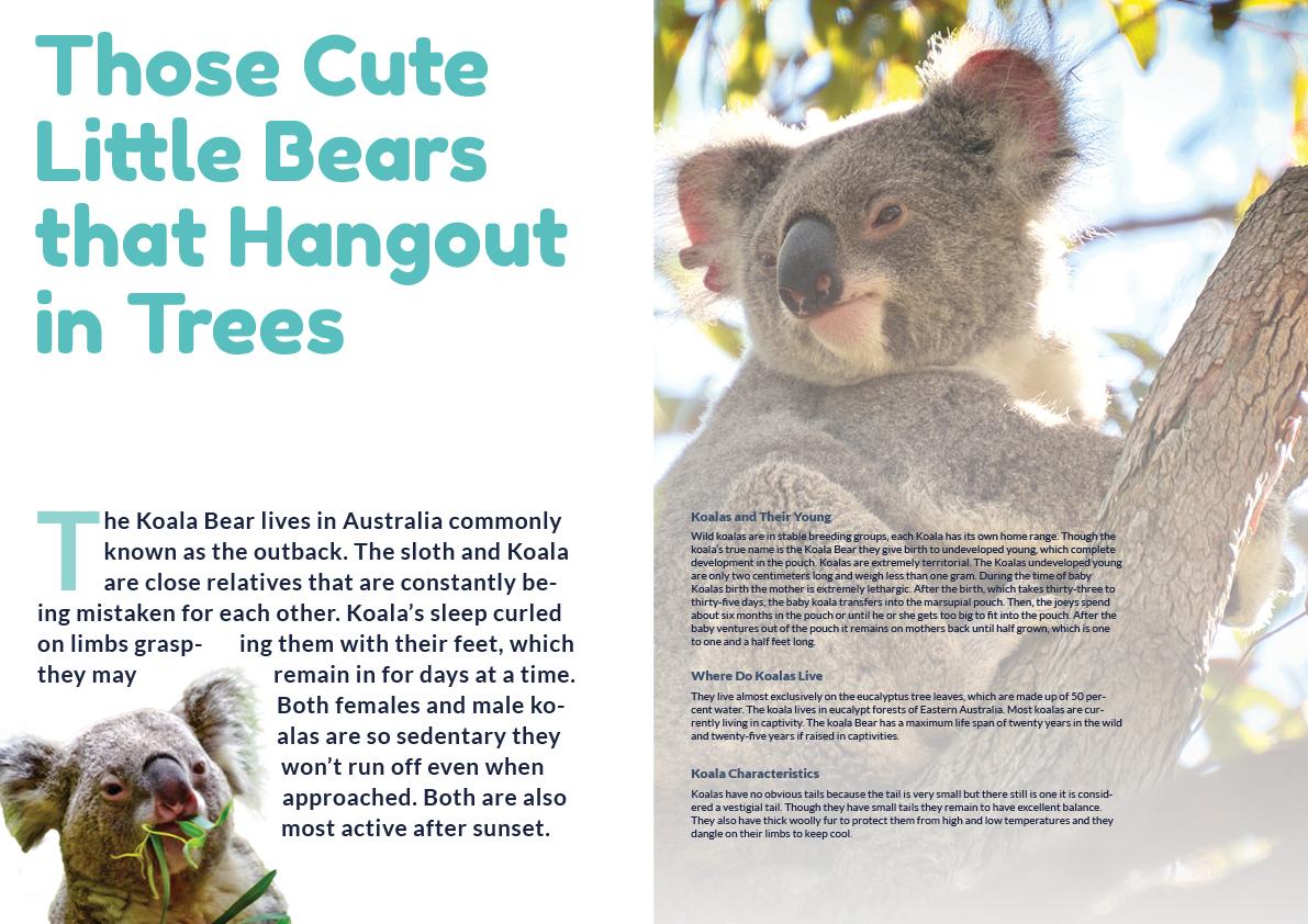 How to order a pizza poster + Ice cream + Koala = ? - image 3 - student project
