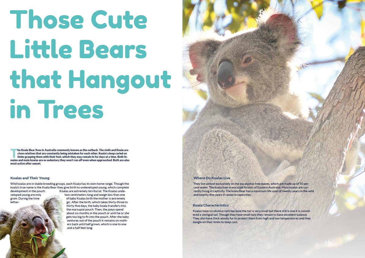 How to order a pizza poster + Ice cream + Koala = ? - image 2 - student project