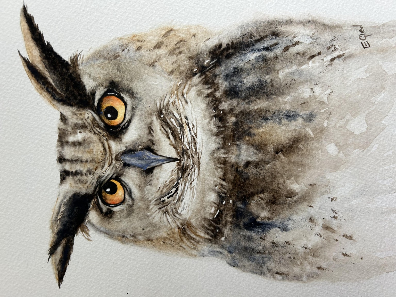 Lovely scowly owl - image 1 - student project