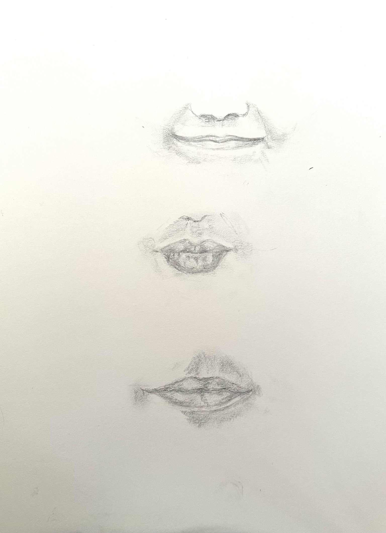 Sketching Eyes, Noses, and Lips without faces - image 1 - student project