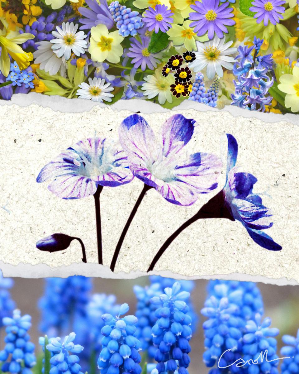 Torn paper effects - image 1 - student project