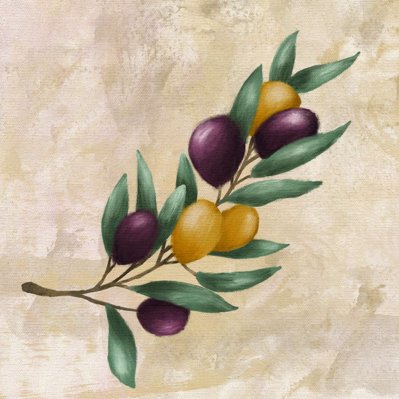 Olives - image 1 - student project