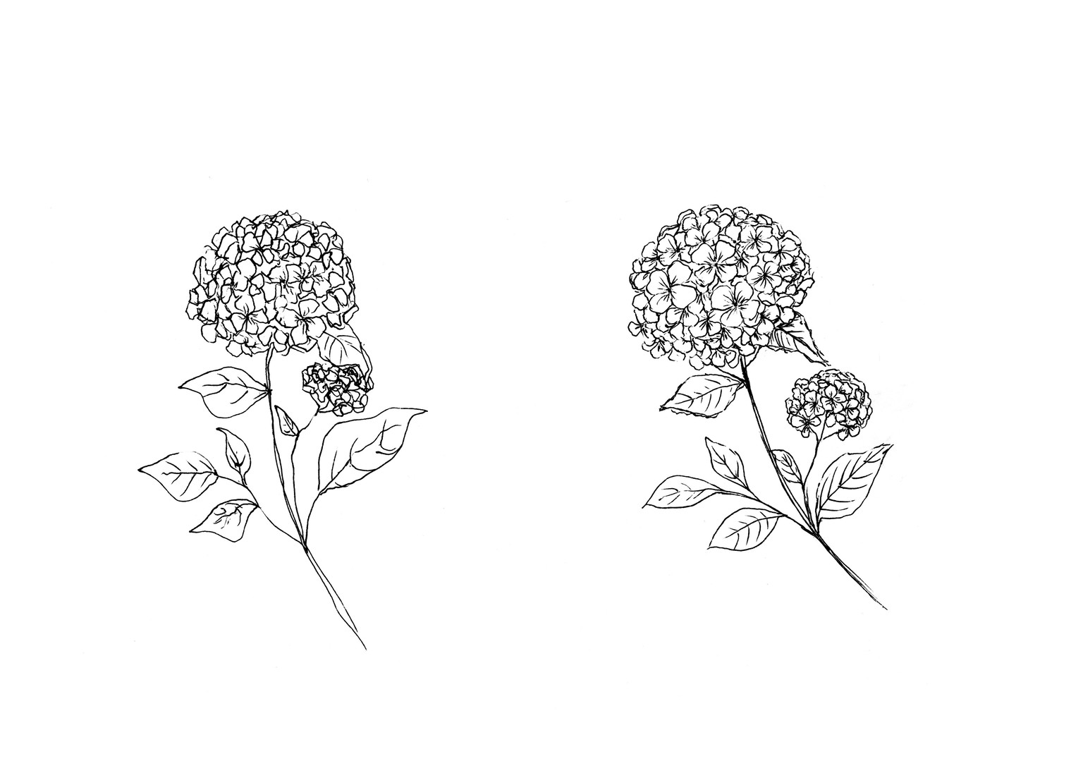 Workshop Project: Developing my style - image 4 - student project