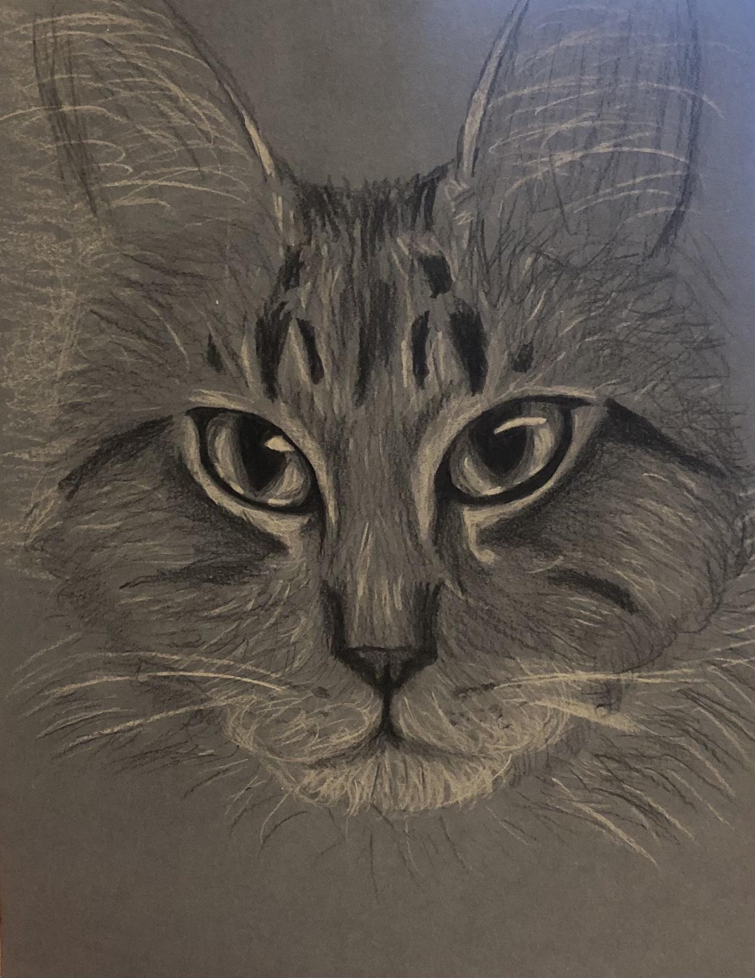 Practice on toned paper - image 5 - student project