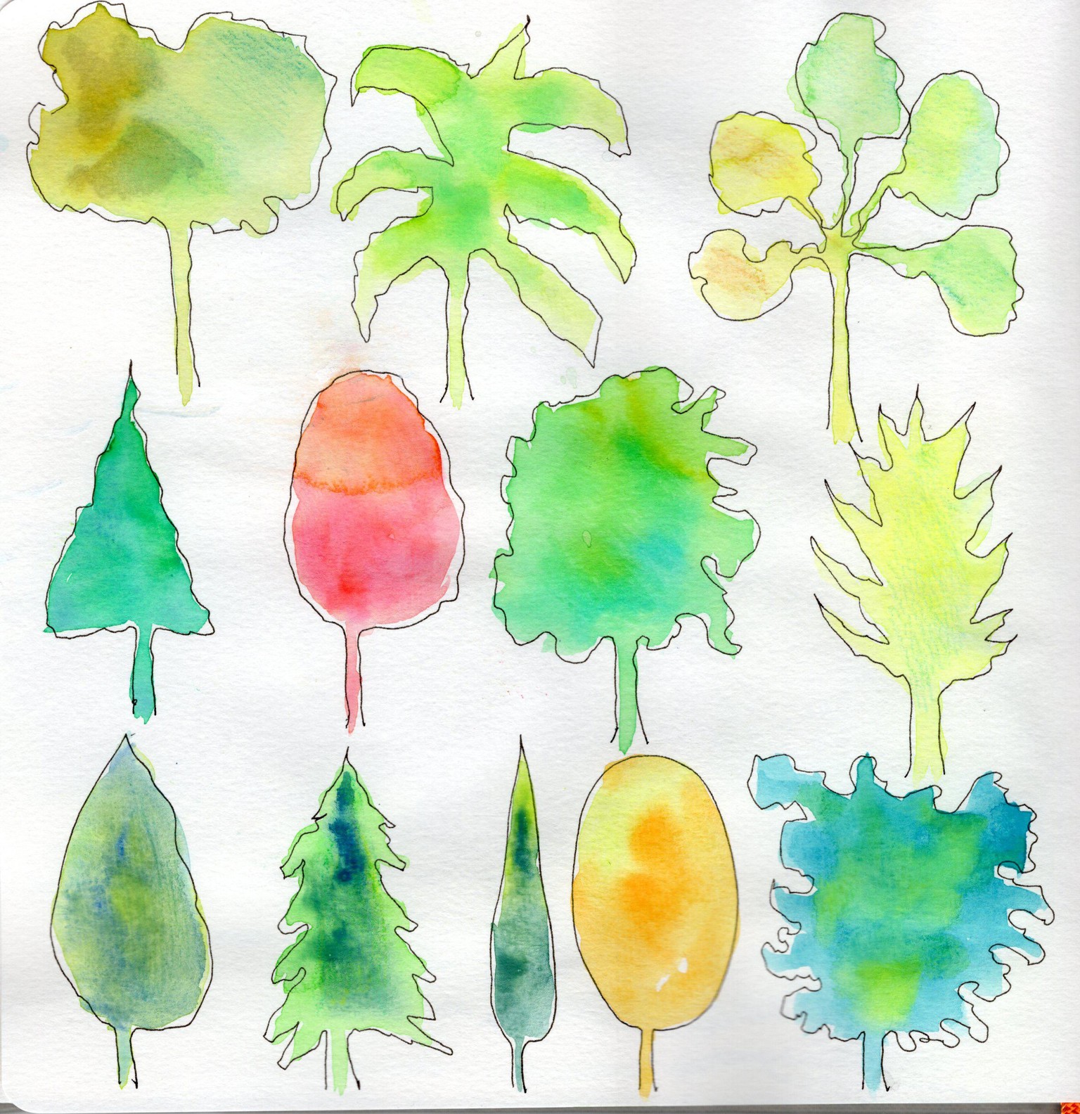 Trees - image 1 - student project